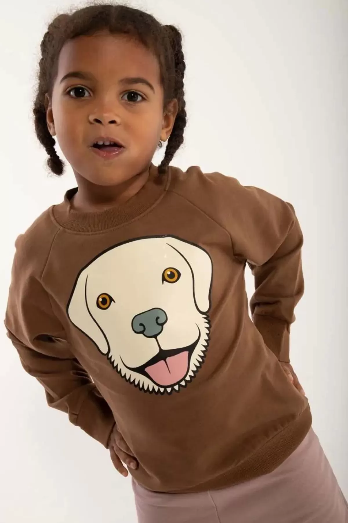 Fashion Dyrbellow Sweat Brown Beige Retriever Kinder Sweatshirts