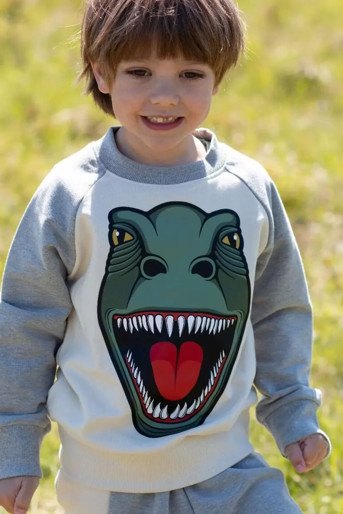 Hot Dyrbellow Sweat Putty/Hthr Grey T-Rex Kinder Sweatshirts