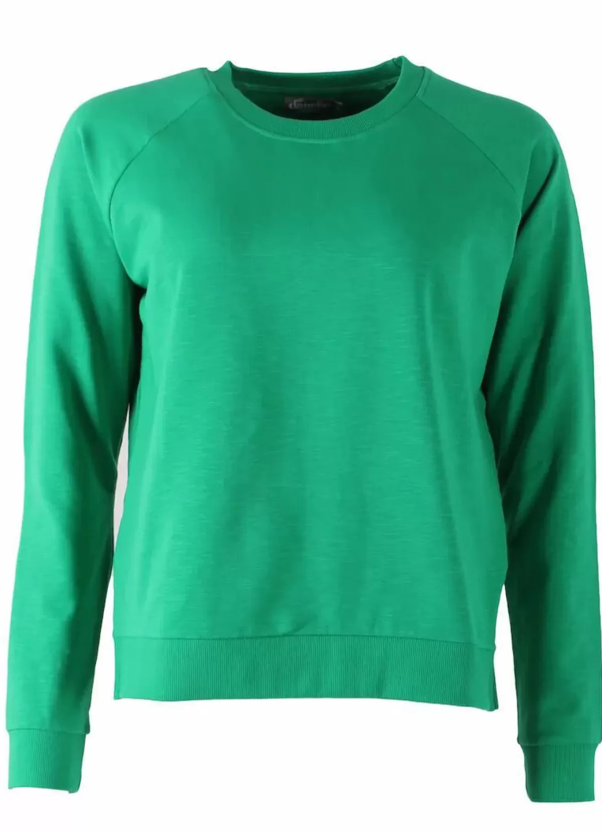 Danefæ Sweatshirts>Ess - Organic Danereformer Sweat Green